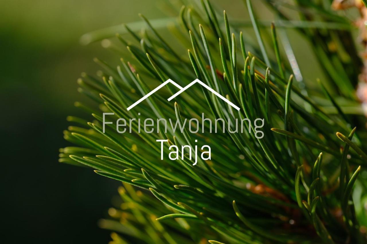 Ferienwohnung Tanja Inklusive Sommercard Jerzens Buitenkant foto